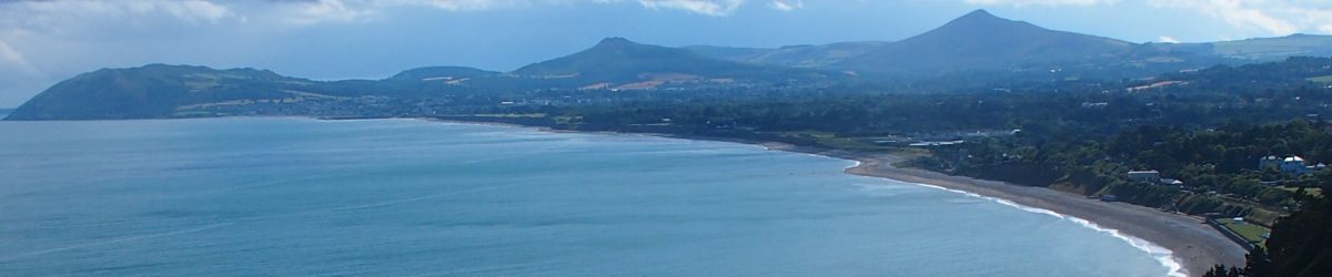 Crises We Have Lived&nbsp;Through