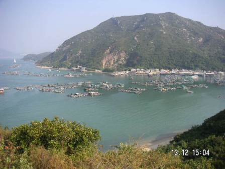 MINOLTA DIGITAL CAMERA